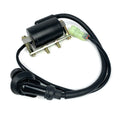 IGNITION COIL W/ SPARK PLUG WIRE AND CAP-BLUR 220/BUDDY 170