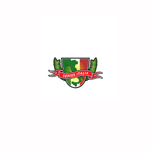 Buddy Series Italia Emblem decal