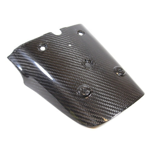 Carbon Fiber Rear Fender for GTS/GTV/300 SUPER
