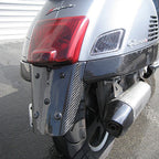 Carbon Fiber Rear Fender for GTS/GTV/300 SUPER