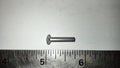 RIVET