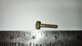 SCREW THROTTLE ADJUST VL1-VL3 VB1 VGL1