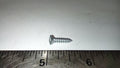 OVAL HEAD SCREW