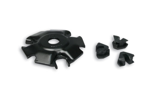 MALOSSI VARIATOR ROLLER BACKING PLATE  - 150-300CC MALOSSI VARIATOR (M2511470B)