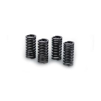 Malossi Heavy Duty Valve Spring Set For Original and Malossi Heads