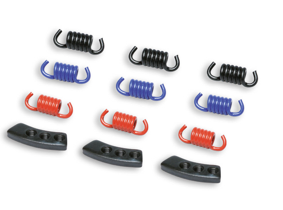 Malossi MHR Spring Set - 50CC DELTA & FLY CLUTCH