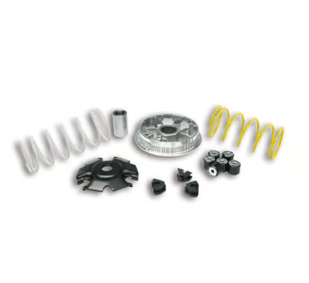 MALOSSI VARIATOR KIT FOR 2017-CURRENT LIBERTY/PRIMAVERA/SPRINT iGET 125/150
