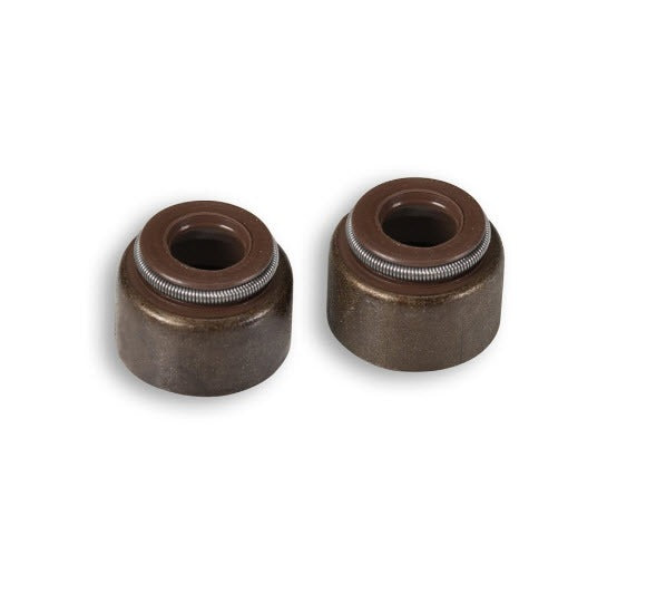 PAIR Malsossi Valve Stem Seals for 4 Valve Cylinder Head (6611823E)