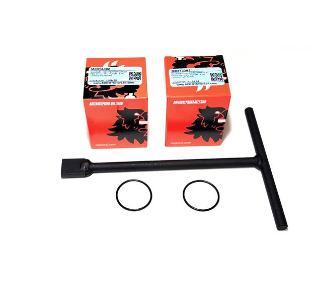 Oil Change Consumable Kit With 2 Malossi Oil Filters 2 O-rings And Tool (VESPA PIAGGIO 125-310)