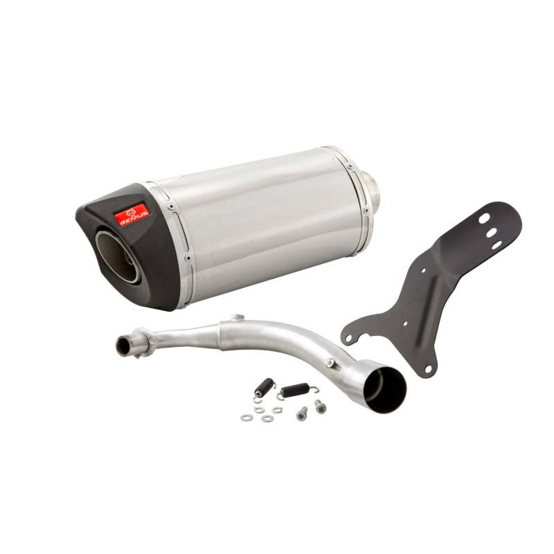 SILVER REMUS EXHAUST WITH BLACK CARBON TIP VESPA PRIMAVERA/SPRINT 150 3V 2015-2016 **CLOSEOUT**