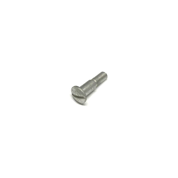 Screw for seat strap