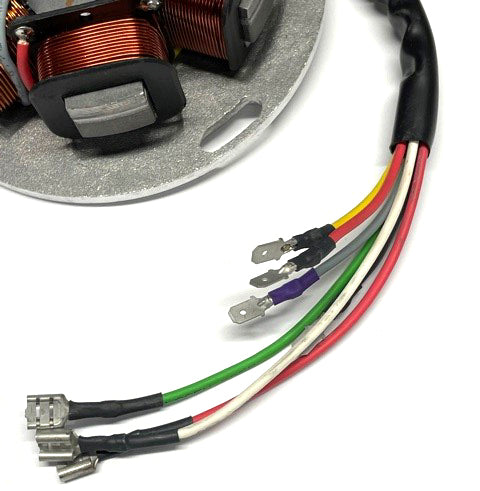Stator Plate for VINTAGE VESPA P200E 1980-81 USA Models (Red-Yellow Wire) (163910)
